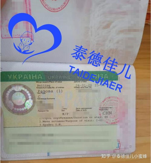 烏克蘭簽證辦理指南 試管醫療簽證、落地簽政策與代辦服務解析